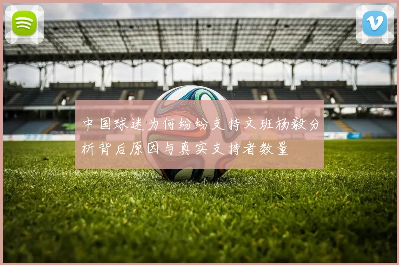 中国球迷为何纷纷支持文班杨毅分析背后原因与真实支持者数量